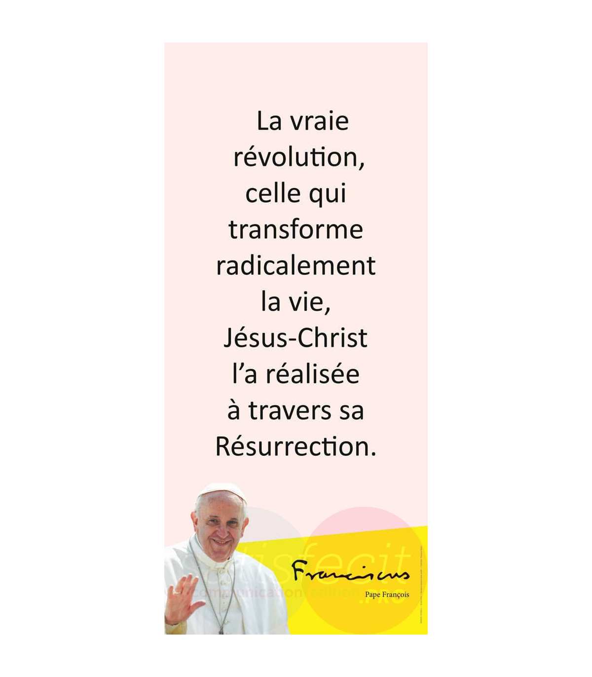 Kakemono Pape Francois Citation La Vraie Revolution Km14 0027
