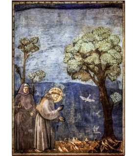 Grand format Saint François d'Assise de Giotto (GF15-0065)