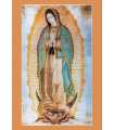 "Notre Dame de Guadalupe"