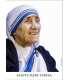 Poster Sainte Mère Teresa (PO15-0073)