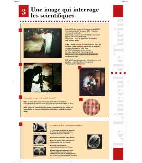 Le Saint Suaire Scientifique
