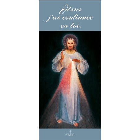 Affiche/Poster/Bâche image de 'Jésus, j'ai confiance en Vous' v3