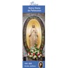 Signet "Prier avec" Notre-Dame de Pellevoisin